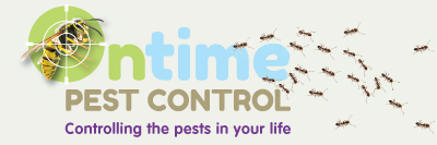 Welcome to Ontime Pest Control London